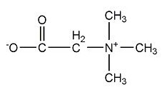 甜菜碱分子式结构图