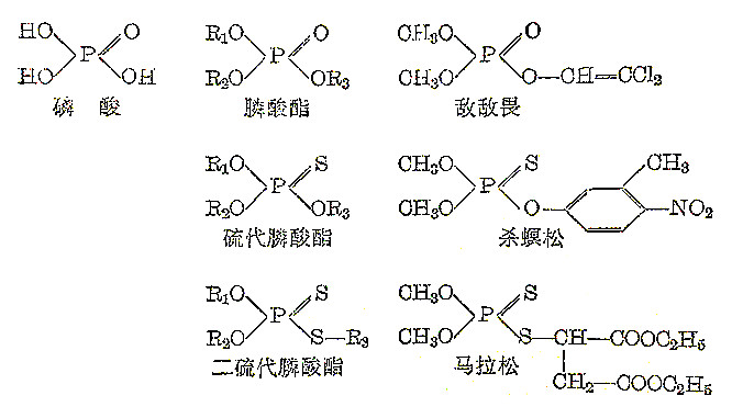 磷的价类二维图图片